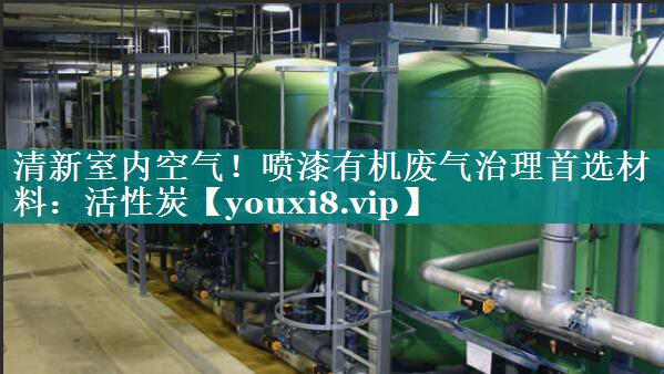 清新室内空气！喷漆有机废气治理首选材料：活性炭