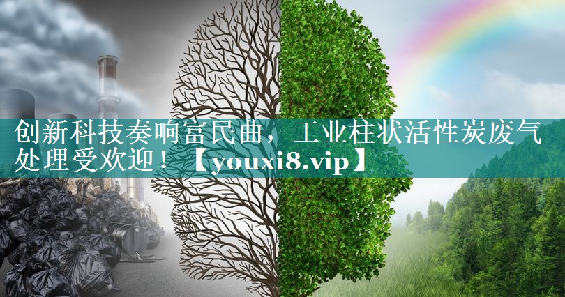 创新科技奏响富民曲，工业柱状活性炭废气处理受欢迎！