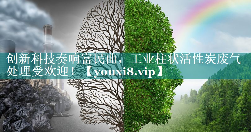 创新科技奏响富民曲，工业柱状活性炭废气处理受欢迎！