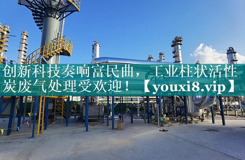 创新科技奏响富民曲，工业柱状活性炭废气处理受欢迎！