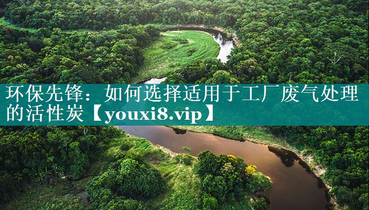 环保先锋：如何选择适用于工厂废气处理的活性炭