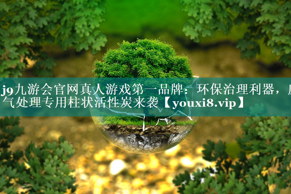 环保治理利器，废气处理专用柱状活性炭来袭