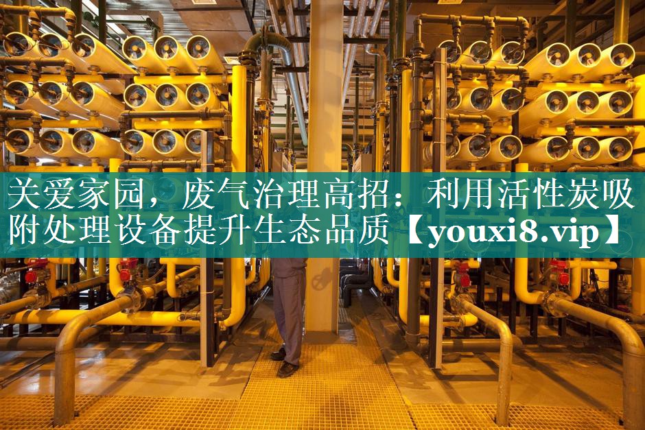 关爱家园，废气治理高招：利用活性炭吸附处理设备提升生态品质