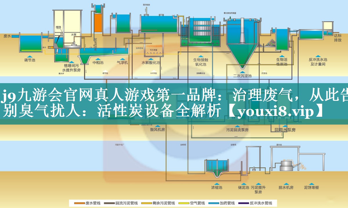 治理废气，从此告别臭气扰人：活性炭设备全解析