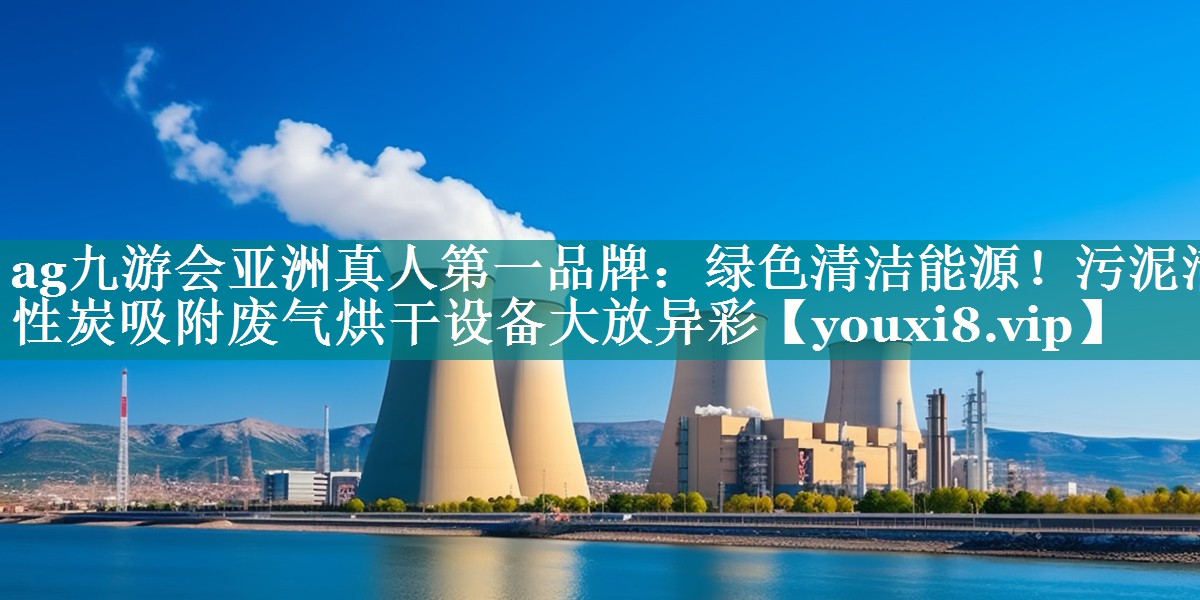 绿色清洁能源！污泥活性炭吸附废气烘干设备大放异彩