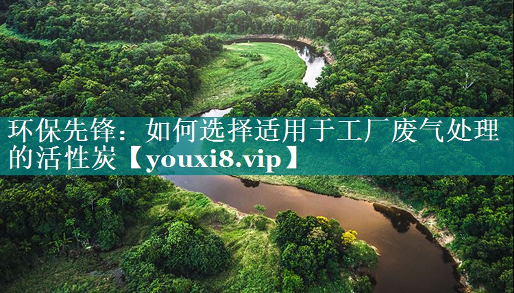 环保先锋：如何选择适用于工厂废气处理的活性炭